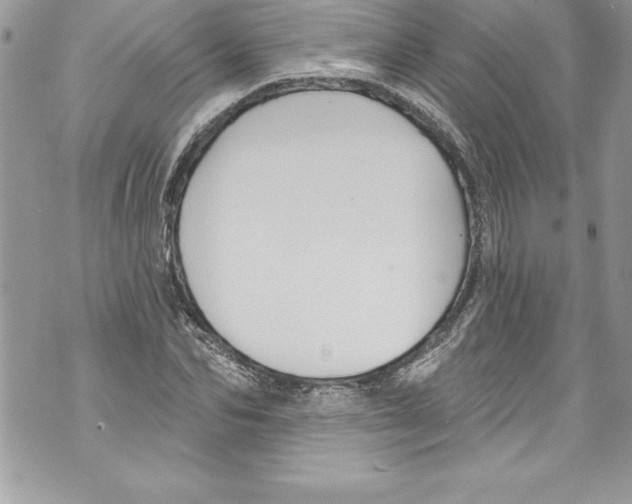 X0000070880974200607150142