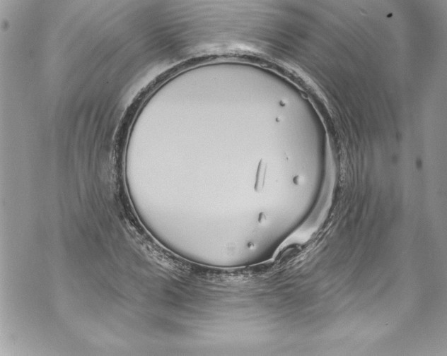 X0000070880975200607150142