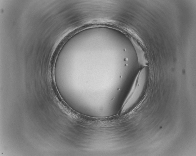 X0000070880976200607150142