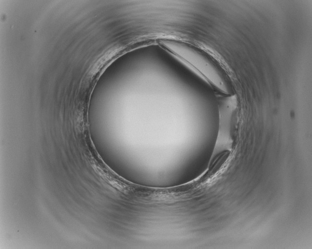 X0000070880977200607150142