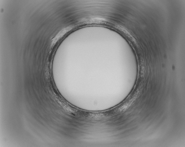 X0000070880978200607150142