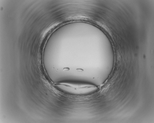 X0000070880979200607150142