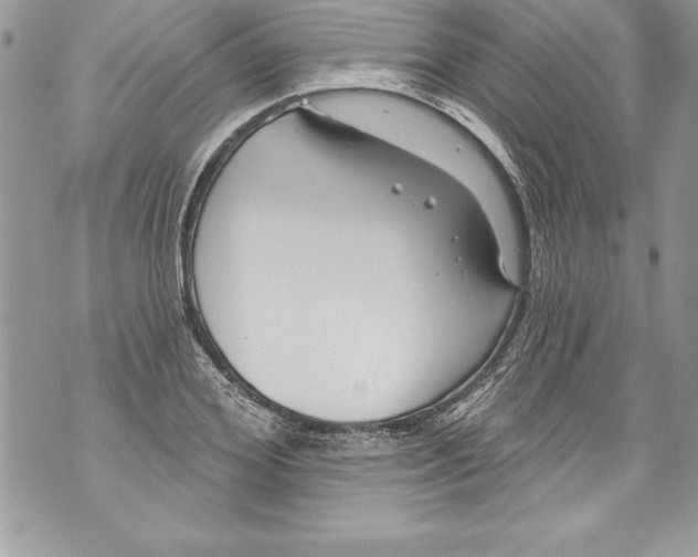 X0000070880980200607150142