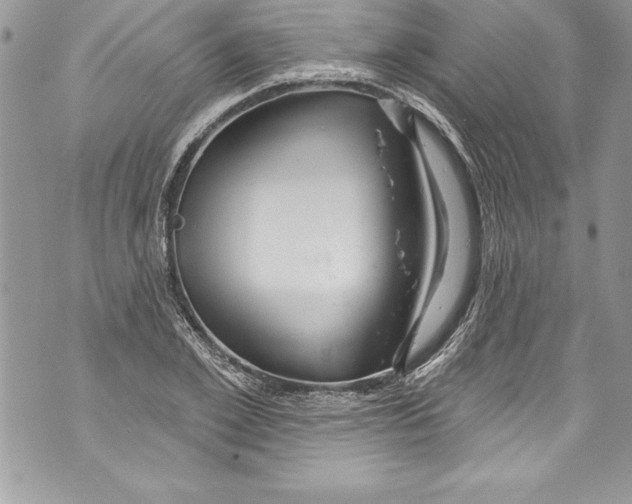 X0000070880981200607150142