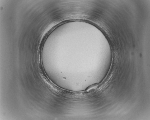 X0000070880982200607150142