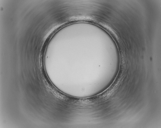 X0000070880983200607150142