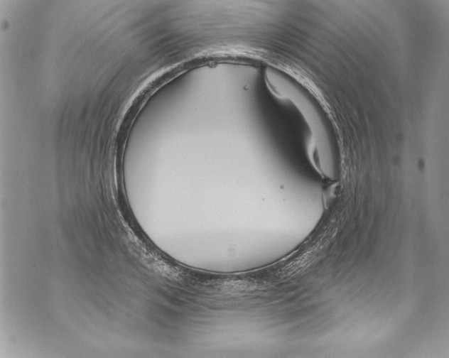 X0000070880984200607150142