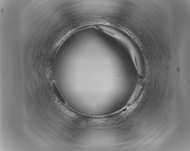 X0000070880985200607150142