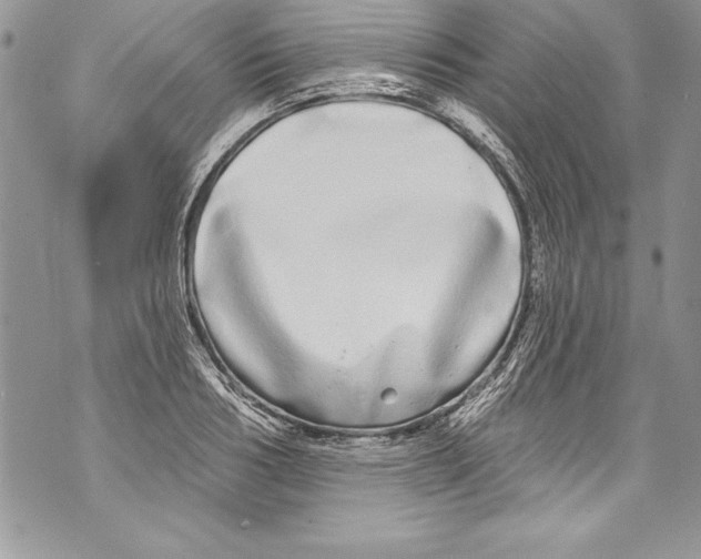 X0000070880986200607150142