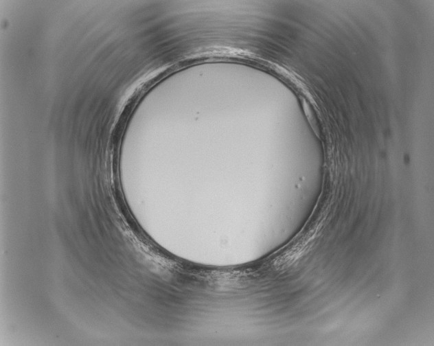 X0000070880987200607150142