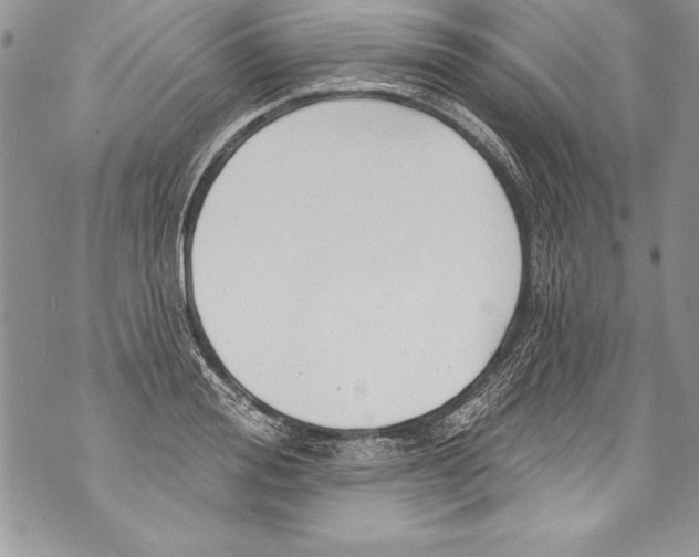 X0000070880988200607150142