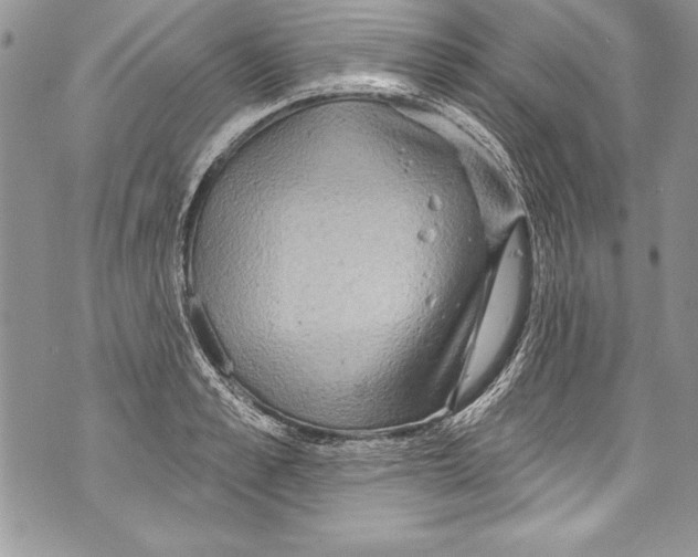 X0000070880989200607150142