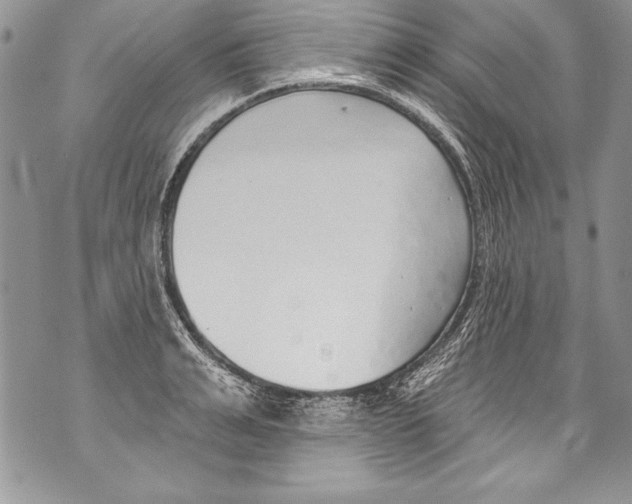 X0000070880991200607150142