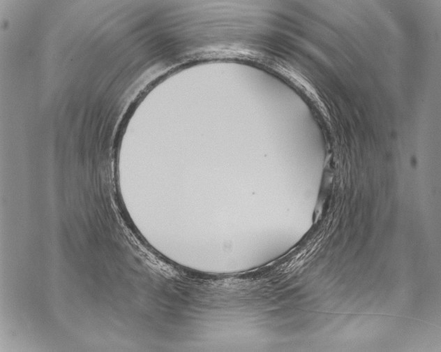 X0000070880992200607150142