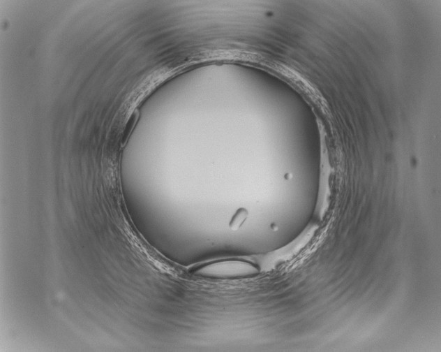 X0000070880993200607150142