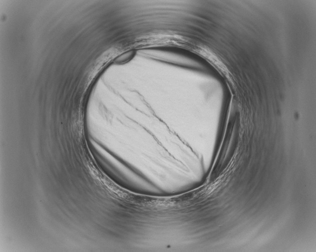 X0000070880994200607150142