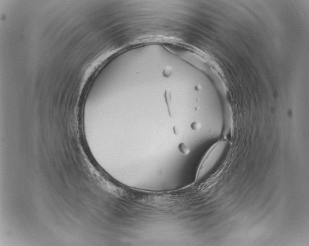 X0000070880995200607150142