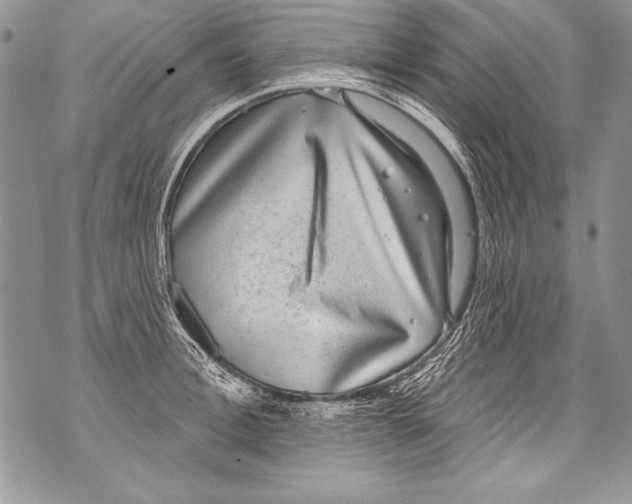 X0000070880996200607150142