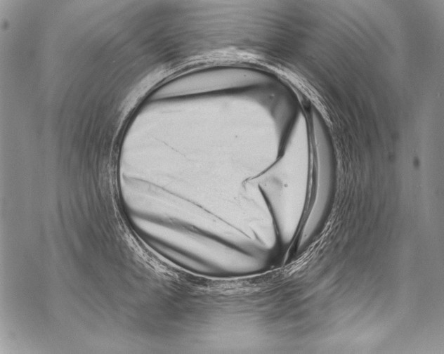 X0000070880998200607150142