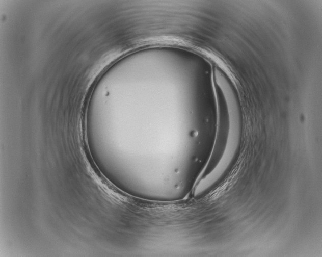 X0000070880999200607150142