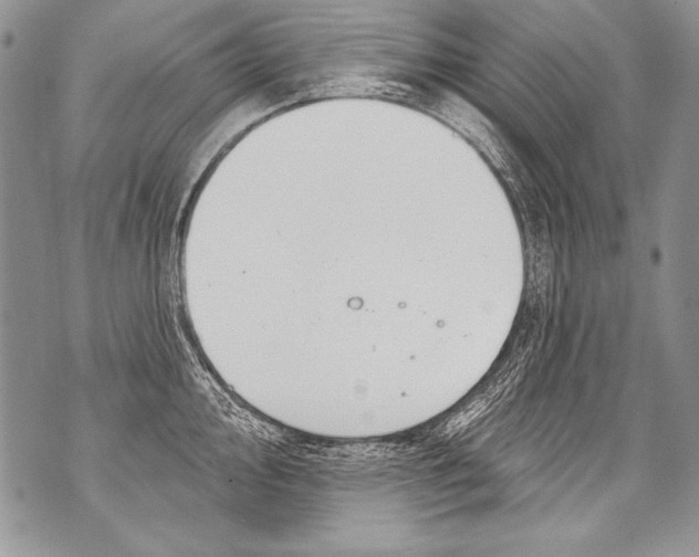 X0000070881000200607150142