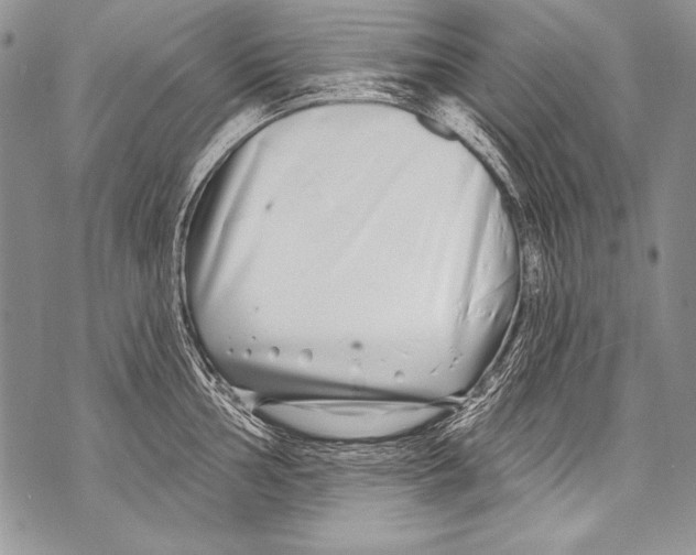 X0000070881002200607150141