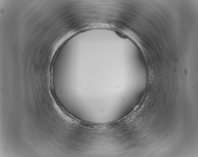 X0000070881003200607150141