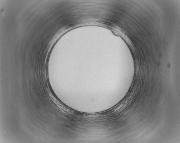 X0000070881004200607150141