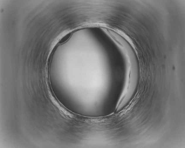 X0000070881005200607150141