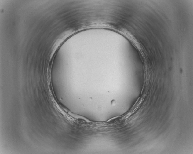 X0000070881006200607150141