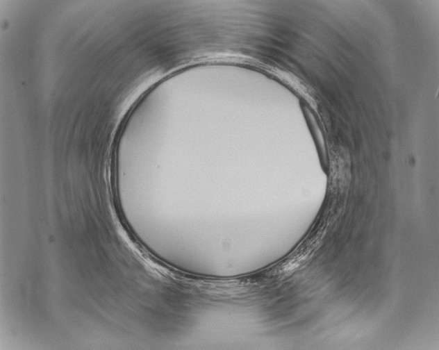 X0000070881007200607150141