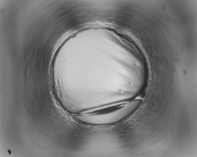 X0000070881008200607150141