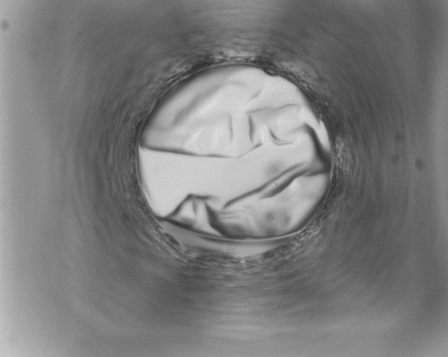 X0000070881009200607150141