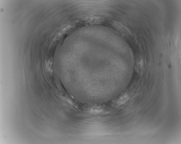 X0000070881010200607150141