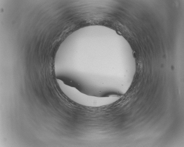 X0000070881012200607150141