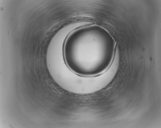 X0000070881014200607150141