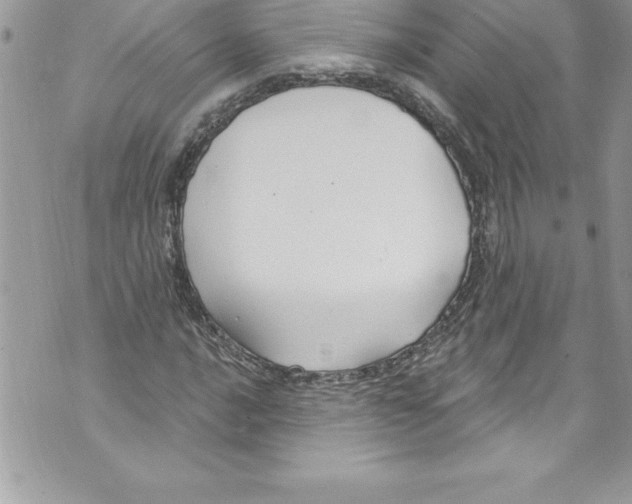 X0000070881016200607150141