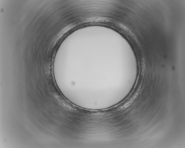 X0000070881017200607150141