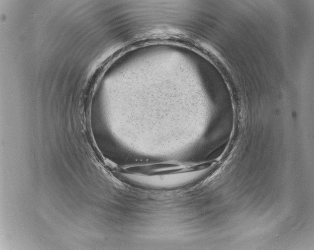 X0000070881018200607150141