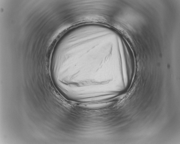 X0000070881019200607150141