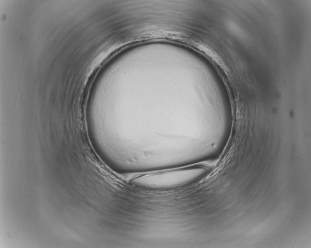 X0000070881023200607150141