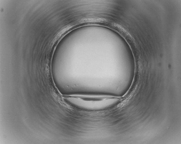 X0000070881025200607150141