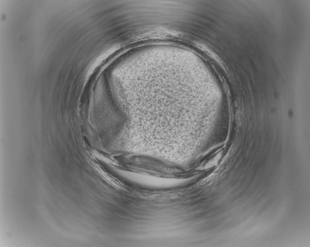 X0000070881026200607150141