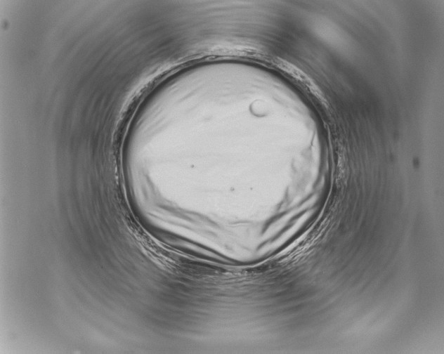 X0000070881027200607150141