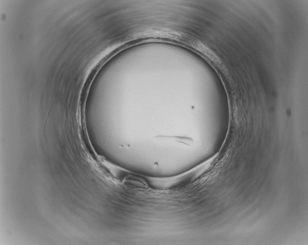 X0000070881028200607150141