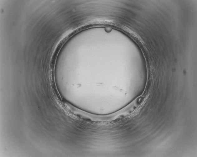 X0000070881029200607150141