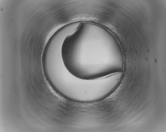 X0000070881030200607150141