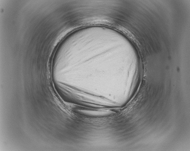 X0000070881031200607150141