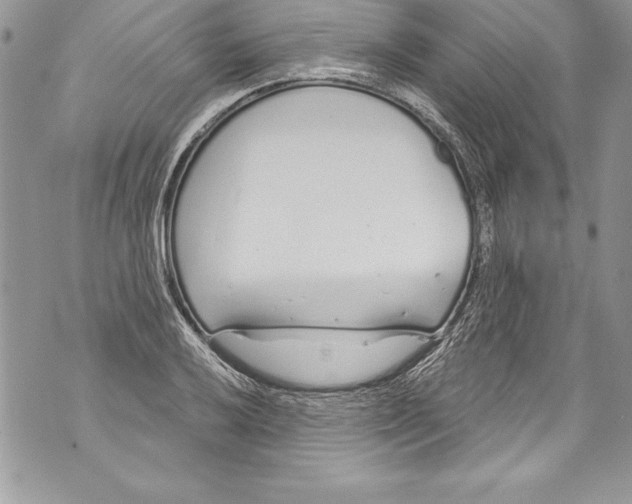 X0000070881032200607150141