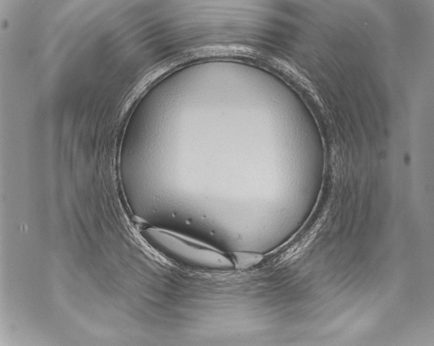 X0000070881033200607150141